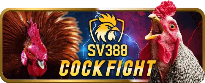 Lợi ích thành viên VIP 365bet